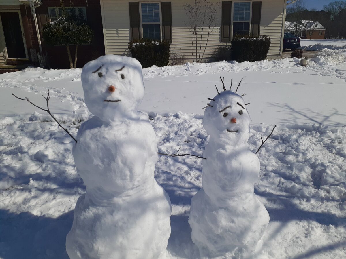 Do you want to build a Snowman? Not Really!